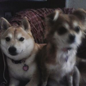 Meet your Posher, Milena